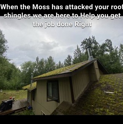 Moss removal